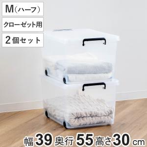 天馬 収納ケース 衣装ケース 押入れ用 インロック 350M 2個セット 幅39
