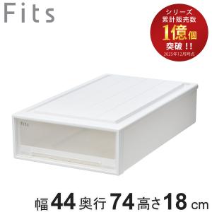 Fits 収納ケース フィッツ フィッツケース ディープL 引き出し 2個