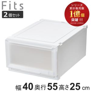 Fits 収納ケース 幅40×奥行55×高さ25cm フィッツアドバンス ケース