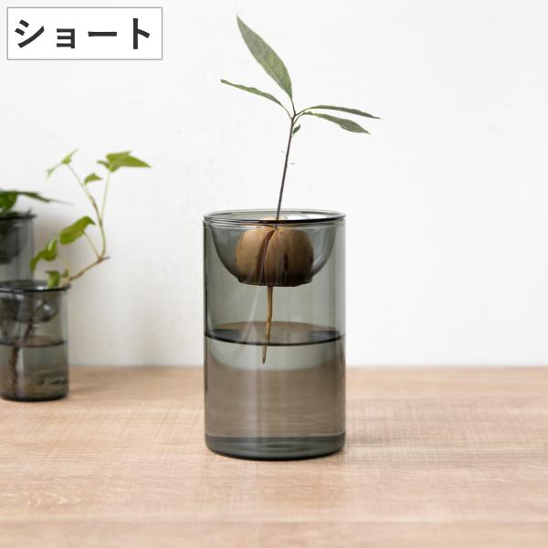 花瓶 BULB VASE 水栽培ガラスベース ショート 水耕栽培 （ 花器 ガラス おしゃれ フラワ...