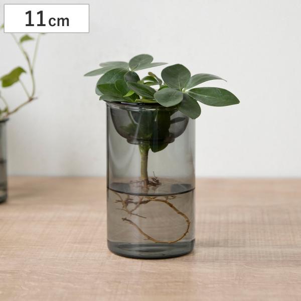 花瓶 MINI BULB VASE 水栽培ガラスベース 11cm 水耕栽培 （ 花器 ガラス おしゃ...