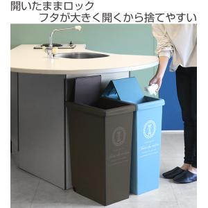 ゴミ箱 45L スライドペール ふた付き エッ...の詳細画像1