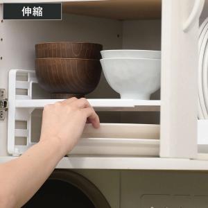 ディッシュラック キャビスタ 伸縮式 プレートラック （ 食器スタンド ディッシュストレージ 伸縮 2段 ラック 食器棚収納 食器収納 日本製 ）