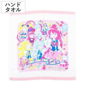 キャラクター フェイスタオル AKB0048 （ AKB48 グッズ