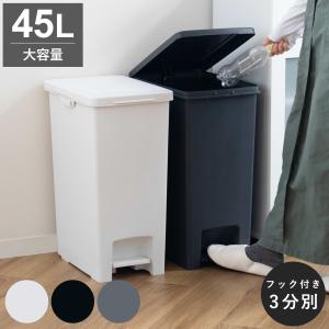 ゴミ箱 45L エバンペダルペール ペダル式 （ 45リットル スリム キッチン 分別 ごみ箱 ダストボックス ペダル シンプル 3分別 蓋つき 足踏み ）