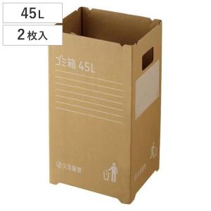 ゴミ箱 45L 10枚入 段ボールゴミ箱 組み立て式 （ LH17669 ごみ箱 45