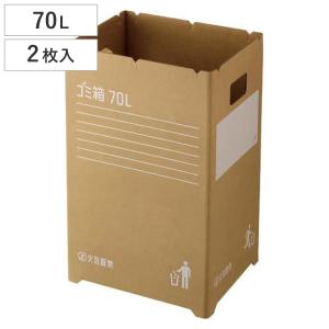 ゴミ箱 45L 10枚入 段ボールゴミ箱 組み立て式 （ LH17669 ごみ箱 45