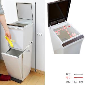 ゴミ箱 ダストボックス 通販 リビングート Paypayモール店