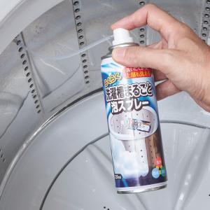 洗濯槽クリーナー らくらく洗濯槽まるごと泡スプレー 220ml （ 洗濯機 掃除 クリーナー 泡 洗濯槽 泡スプレー ノズル 縦型専用 ）