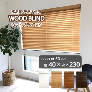ウッドブラインド 100x200cm 2個セット スラット35mm EーBLIND（イージーブラインド） ブラインド ブラインドカーテン