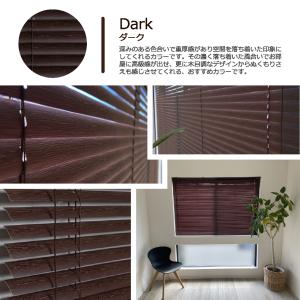 ブラインド カーテン カーテンレール 取付可能...の詳細画像4