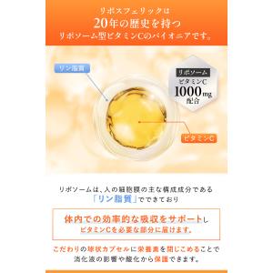 【公式通販】リポスフェリック ビタミンC 3箱...の詳細画像3