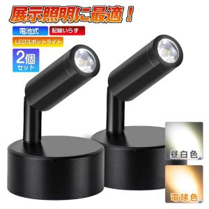 JAJAN コレクションラック ショーケース コレクションケース 照明付き