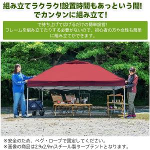 タープテント ワンタッチタープテント 3m×3...の詳細画像2