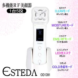高周波オゾン ハイフルクエンシー 美顔器 HD プローブ 28649用 エステ