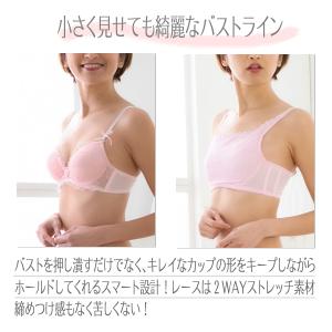 小さく見せるブラ ブラジャー 大きな胸を小さく...の詳細画像1