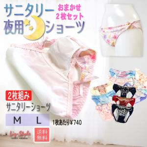 夜用サニタリーショーツ おまかせ2枚セット 生理...の商品画像