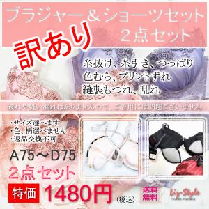 ブラジャー ショーツ セット 訳あり2組セット セール B級品 下着 お得なクーポン配布中 デザインおまかせ ブラセット レデイース Liz-Style