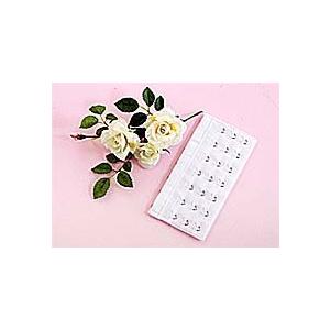 INNUENDO　BRIDAL　INNER イニュエンドゥ　ブライダルアジャスター