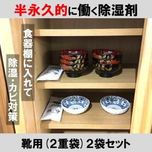 除湿剤 半永久的 繰り返し 大山竹炭 靴用2本...の詳細画像5