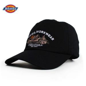Ed Hardy（エドハーディー） ラインストーン メッシュキャップ メンズ