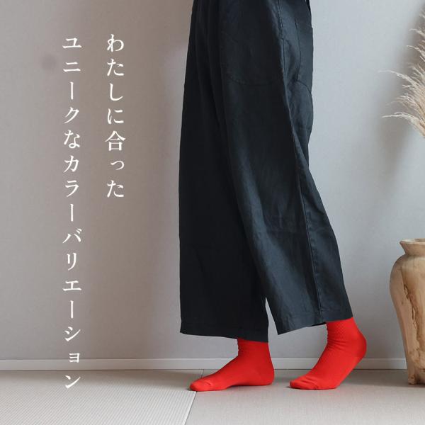 【3足セット】nokotta リブ靴下 ソックス くつ下 綿 コットン 日本製 レディース メンズ ...