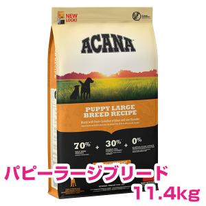 ACANA（アカナ） アダルトドッグ 11.4kg ドッグフード 【正規品