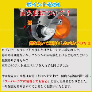 1球 HONDA ズーマー X S25ダブル球...の詳細画像1