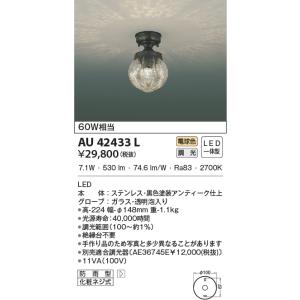 AU42433L ポーチ灯 玄関灯 防雨型 小型シーリング 黒色塗装アンティーク仕上 天井専用
