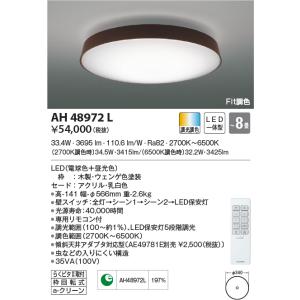 AH48960L シーリング コイズミ照明 照明器具 シーリングライト KOIZUMI
