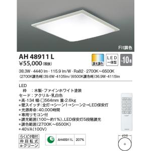 Panasonic（パナソニック） [法人限定][即納在庫有り] NNK55001N LJ9