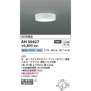コイズミ照明 AH42162L コイズミ 小型シーリングライト LED（電球色