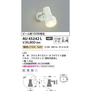 KOIZUMI（コイズミ） AU52700 エクステリア スポットライト 60W相当