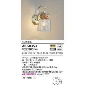 大光電機 DAIKO LEDスポットライト プラグタイプ YLED-001ASS : エヌ