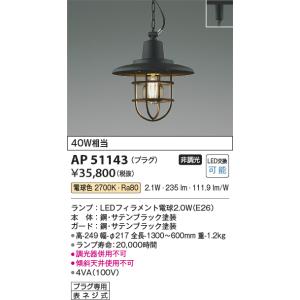 KOIZUMI（コイズミ） AP49031L ペンダントライト LEDランプ交換可能型