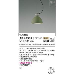 Panasonic（パナソニック） (特別価格 在庫あり) FK91110 C級用LED