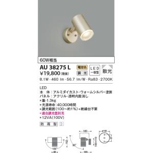 KOIZUMI（コイズミ） AU54113 エクステリア スポットライト 60W相当