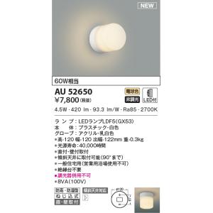 Panasonic（パナソニック） [法人限定] NNCF22115J LE9 階段通路誘導灯