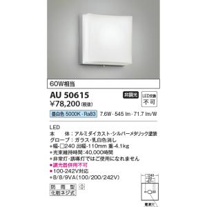 Panasonic（パナソニック） NNCF50120JLE1 階段灯 非常灯 昼白色