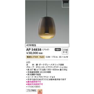 AP54838 ペンダントライト LED一体型 非調光 40W相当 電気工事不要タイプ プラグタイプ...