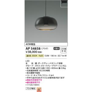 KOIZUMI（コイズミ） AP55513 ペンダントライト LED一体型 非調光 60W