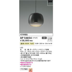 AP54854 ペンダントライト LED一体型 非調光 40W相当 電気工事不要タイプ プラグタイプ...