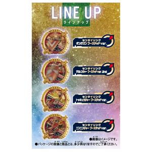 ラッピング対応 DXセンタイリング パワーアッ...の詳細画像1