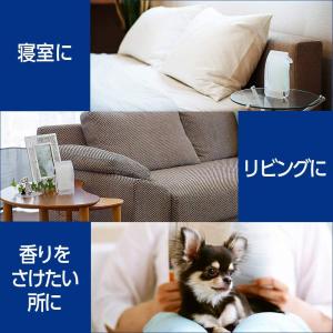 まとめ買い ファブリーズ 消臭剤 置き型 さわ...の詳細画像3