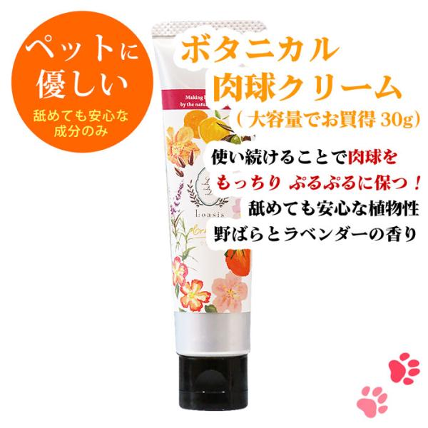 ボタニカル肉球クリーム・大チューブ 30g 犬 猫 肉球 肉球ケア 植物性 舐めても安心 シニア 保...