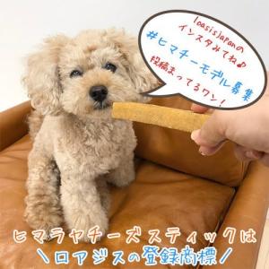 ヒマチーとはの商品一覧 通販 Yahoo ショッピング