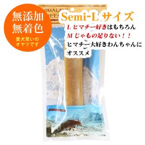 正規品ヒマチー ★お買得★ Semi-Lサイズ ヒマラヤチーズ スティック (たっぷり約130〜150g) ロアジス直営店 ※規格外だからチョットお買得