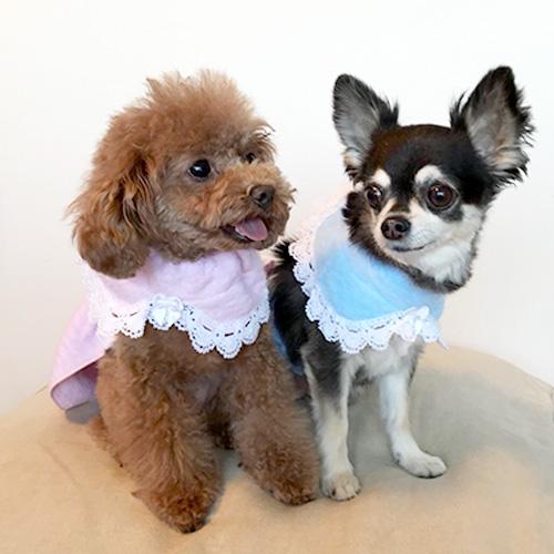 ふわふわ可愛い首輪カバー（サイズ：S・M・L / カラー：ベビーピンク・ベビーブルー）【今治タオルシ...