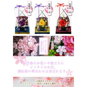 プリザーブドフラワー 花鳥風月ケースセット お...の詳細画像2