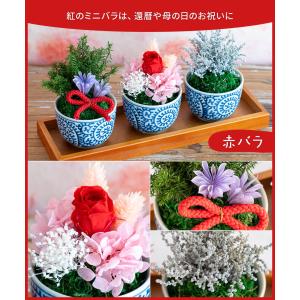 プリザーブドフラワー bonbon 退職祝い ...の詳細画像4